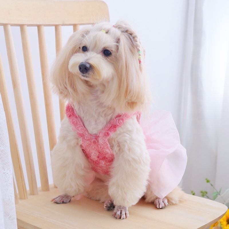 Vestido de pastel Floral rosa  - Summer Rose Clothing reseña y precio